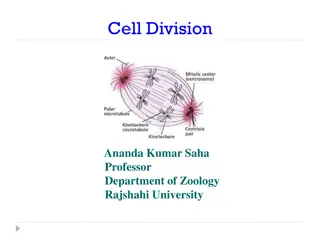 Cell Division: Processes and Types