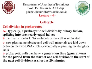 Overview of Cell Division in Prokaryotes and Eukaryotic Cells