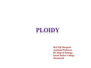 Ploidy and Chromosome Numbers in Organisms