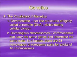 Genetics: Chromosomes, Genes, and Inheritance