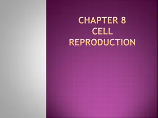 Cell Reproduction: Chromosomes, Cell Cycle, and Division