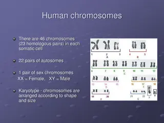 Chromosomal Disorders and Syndromes in Humans