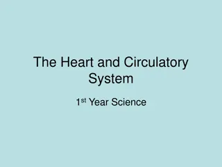 The Heart and Circulatory System in Science