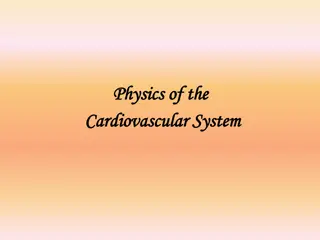 Understanding the Cardiovascular System: A Detailed Overview