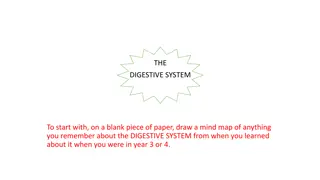 Understanding the Human Body: Digestive and Circulatory Systems Exploration