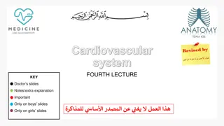 Understanding the Cardiovascular System: Heart Structure, Functions, and Components