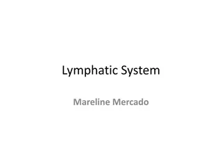 The Lymphatic System: Functions and Components