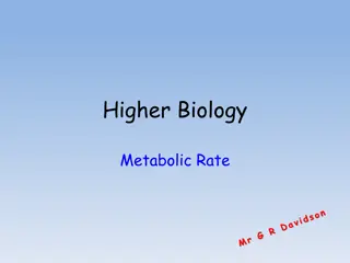 Metabolic Rate in Biology: Measurement and Importance