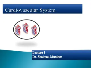 Overview of the Circulatory System and the Heart