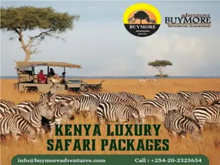 Experience Nature’s Astounding Beauty And The Rich Culture On A Luxury Safari In