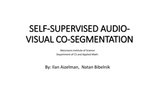 Exploring Self-Supervised Audio-Visual Learning for Segmentation Tasks