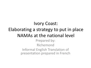 Strategy for Implementing NAMAs in Ivory Coast