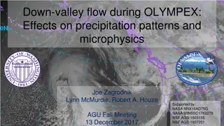 Effects of Down-Valley Flow on Precipitation Patterns and Microphysics