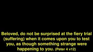 Insights on Endurance and Hope in Suffering