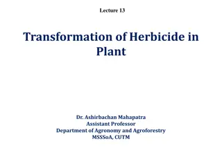 Herbicide Absorption and Translocation Mechanisms in Plants