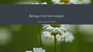 Plant Structure and Function in Biology II for Non-Majors