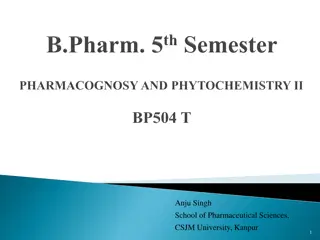 Secondary Metabolites in Ruta Graveolens for Therapeutic Applications