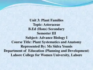 Asteraceae: The Composite Family of Flowering Plants