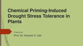 Chemical Priming for Drought Stress Tolerance in Plants