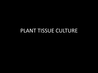 Plant Tissue Culture: A Brief Introduction