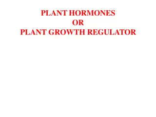 Plant Hormones and Growth Regulators