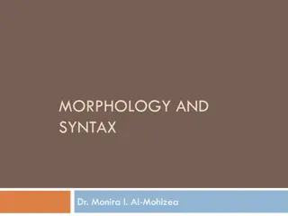 Morphology and Syntax in English Language