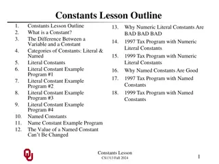 Understanding Constants in Programming