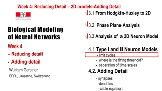 2D Neuron Models and Phase Plane Analysis