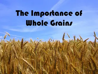 The Importance of Whole Grains in a Healthy Diet