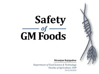 The Safety and Regulation of GMO Foods