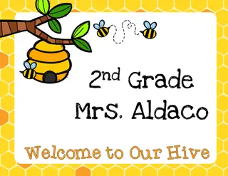 Meet Mrs. Aldaco: Dedicated 2nd Grade Teacher at Mountain Avenue School