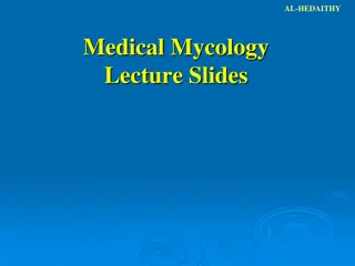 Comprehensive Overview of Medical Mycology and Fungal Structures