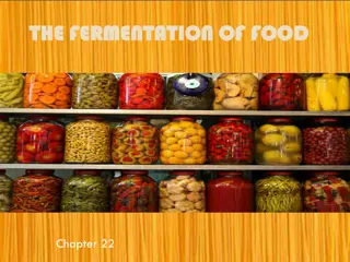 The Fascinating World of Food Fermentation