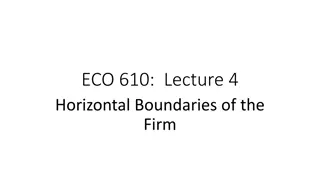 Horizontal Boundaries of Firms in Economics