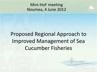 Regional Approach to Sea Cucumber Fisheries Management Proposal in PICTs