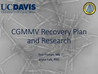 Cucumber Green Mottle Mosaic Virus: Disease Cycle and Testing Methods