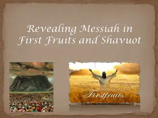 First Fruits and Shavuot in the Israelite Tradition