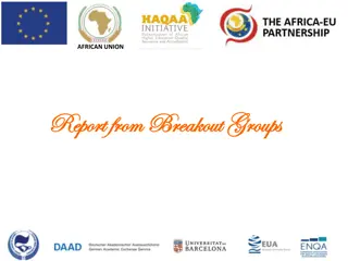 Review and Recommendations on African Union Breakout Group Report