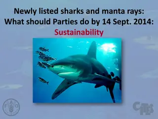 Ensuring Sustainability in Trade of Newly Listed Sharks and Manta Rays