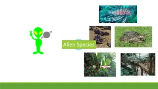 The Impact of Invasive Species on Biodiversity and Ecosystems