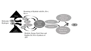 The Intricate Pathways of Choline Synthesis and Oxidation in Molecular Biology