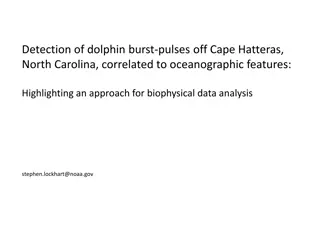 Dolphin Burst-Pulses Detection off Cape Hatteras, NC: Biophysical Data Analysis