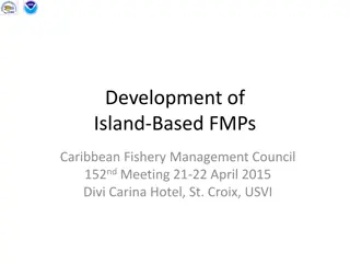 Development of Island-Based Fishery Management Plans by Caribbean Fishery Management Council