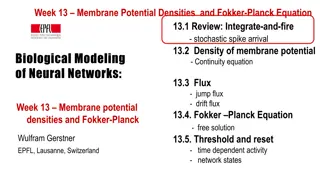 Membrane Potential Densities and the Fokker-Planck Equation in Neural Networks