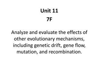 Evolutionary Mechanisms: Genetic Drift, Gene Flow, Mutation, and Recombination