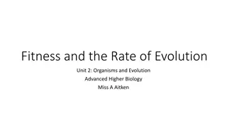 Understanding Fitness and Evolution Rates in Organisms