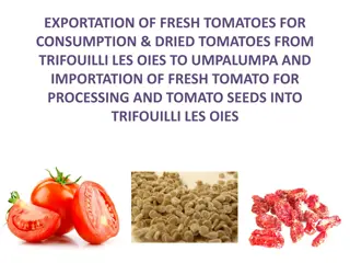 Tomato Exportation and Importation in Trifouilli Les Oies and Umpalumpa