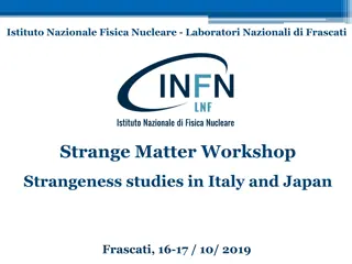 Kaonic Atoms Research Workshop at Istituto Nazionale Fisica Nucleare