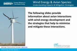 Avian Interactions with Wind Energy Development