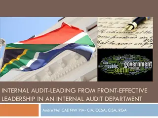 Effective Leadership in Internal Audit: Insights from Andre Nel